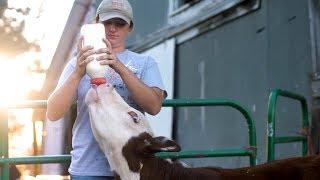 Women in Ag: Leslie Carroll