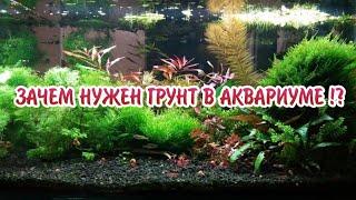 ЗАЧЕМ НУЖЕН ГРУНТ В АКВАРИУМЕ !?