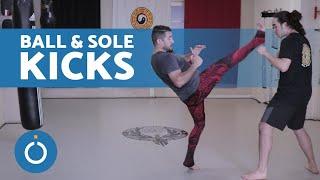 FRONT KICK Training  (Kicking with BALL & SOLE of the FOOT)