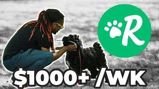 How I Make Over $1000 A Week On Rover Dog Walking/Sitter App