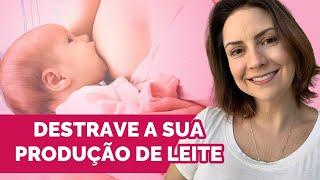 Afirmações Poderosas para sua Amamentação | ANDRESSA BORTOLASSO