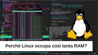 Perché Linux occupa tanta ram? (Spiegazione)