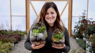 How to Make A Terrarium (Full Version) // Garden Answer