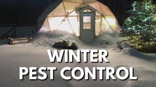 Winter Pests Control | Geodesic Dome Greenhouse in Alberta, Canada