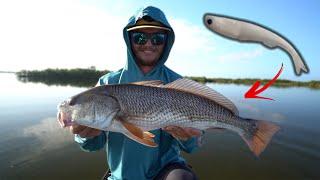 Sight Casting Redfish in Florida Backwater