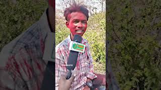 holi bare te new santali #comedyvideo #comedy status quo and vedio achinta #babu and parimal stkora