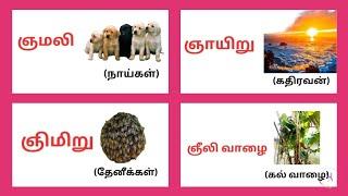 #ஞஞாஞிஞீ வரிசை சொற்கள்,gna varisai sorkal in tamil, gna varisai sorkka| #uyirmeieluthukkal