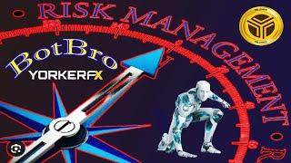 BotBro Risk Na Ki Barabar | Yorker FX Forex Trading | TLC Coin Real Or Fake | Business Plan In Hindi