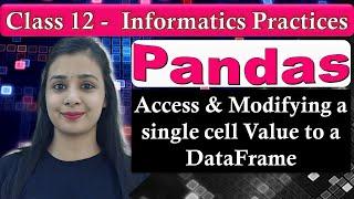 Pandas DataFrame - Access & Modifying a single cell Value to a DataFrame | CBSE Class 12 - IP