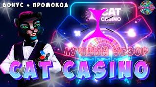 Обзор Cat casino |  Кэт казино промокод | Cat казино вывод денег №4