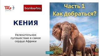 КЕНИЯ - доступная экзотика 2021. Часть 1: полетная программа и правила въезда в страну