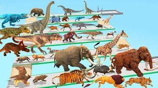 Which Animal vs Dinosaurs Speed Race Run Zigzag Down Course! from Outside Animal Revolt Battle Simul