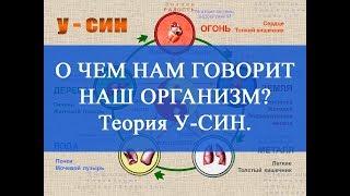 О чем нам говорит наш организм? Теория У-СИН. Здоровье с ЦСТО "Жемчужина Востока".