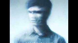 James Blake - The Wilhelm Scream