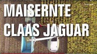 Maisernte / corn harvest - Claas Jaguar + DJI Phantom 3 Professional 4K