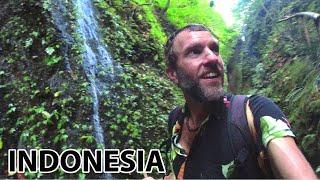 The INDONESIA EXPERIENCE | Crazy Jungle Waterfall Hike