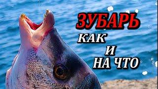 Зубарь на Поплавок  Ворует Удочку. Морская Рыбалка в Крыму. Как и на что ловить?