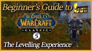 Beginner's Guide to Classic - Episode 5: The Levelling Experience