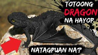 HAYOP NA DRAGON NATAGPUAN NA?