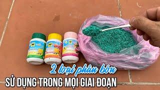 2 Loại phân bón sử dụng trong mọi giai đoạn của hoa cây cảnh