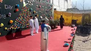 save the trees by Grade 3 students on Annual Day of Smart School Manyar Swat