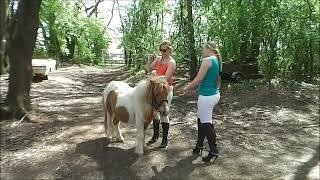 Pony Riding #pony #ponyriding #donkey #donkeyriding #Buffaloriding