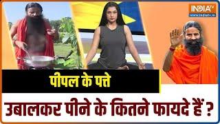 Swami Ramdev Fact Check: Swami Ramdev fact checked regarding Peepal leaf. India TV Yoga