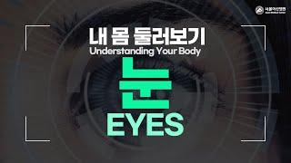 Eyes [Understanding Your Body]