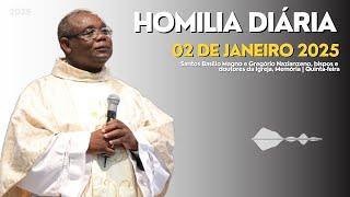 HOMILIA DIÁRIA | Santos Basílio Magno e Gregório Nazianzeno, bispos e doutores da Igreja, Memória