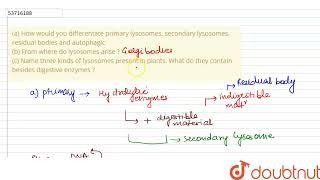 (a) How would you differentate primary lysosomes, secondary lysosomes, residual bodies and autop...