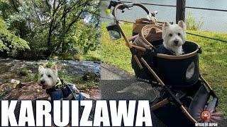 Karuizawa Pet Friendly | Kumobaike Pond | 軽井沢