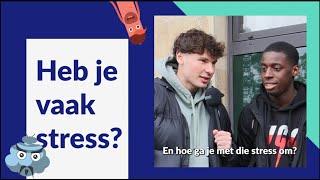 NokNok | Heb je vaak stress?