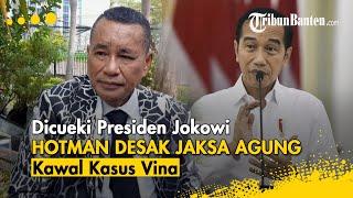 Akui Dicueki Presiden Jokowi, Hotman Desak Jaksa Agung Kawal Kasus Tewasnya Vina Sampai Terkuak