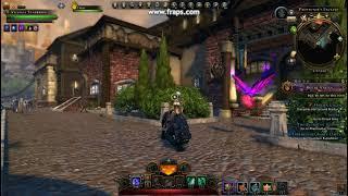 Neverwinter pet