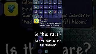 #terraria