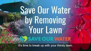 Save Our Water By Removing Your Lawn