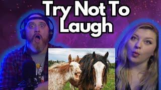 UNUSUAL MEMES COMPILATION V243 | HatGuy & @gnarlynikki Try Not To Laugh Challenge