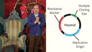 The Parts of a Plasmid