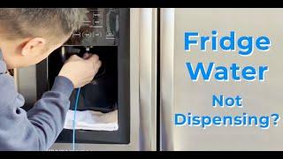 How to: Fix refrigerator water not dispense due to frozen water line