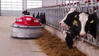 Lely Juno automatic feed pusher – Hammond Farms Testimonial (Canada)