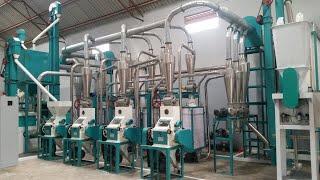 30t maize flour mill plant from China Hongdefa Machinery with automatic line