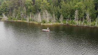 Fly Fishing For Largemouth Bass on A Remote Canadian Lake