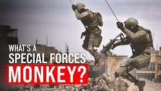 Israeli Counter-Terror Monkeys Explained