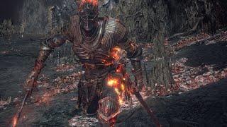 Soul of Cinder (No Damage)