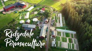 Swedish farm grossing $275,000+ EVERY SIX MONTH SEASON! // Ridgedale Permaculture