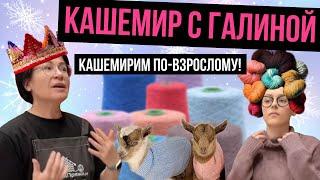 Домпряжи .рф в прямом эфире! Все о кашемире!