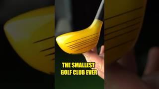 I Review the SMALLEST Golf Club on the Planet! #golf