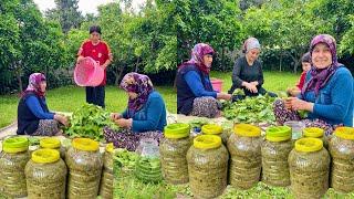 BİDON BİDON LEZZETLİ KÖY YEMEKLERİ İÇİN SALAMURA YAPIMI ~ İLK ÜZÜM YAPRAK HASADI