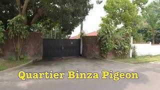Kinshasa: A Tour of Binza Pigeon
