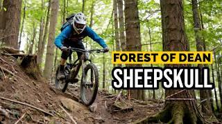 SHEEPSKULL DOWNHILL TRAIL AT THE FOREST OF DEAN